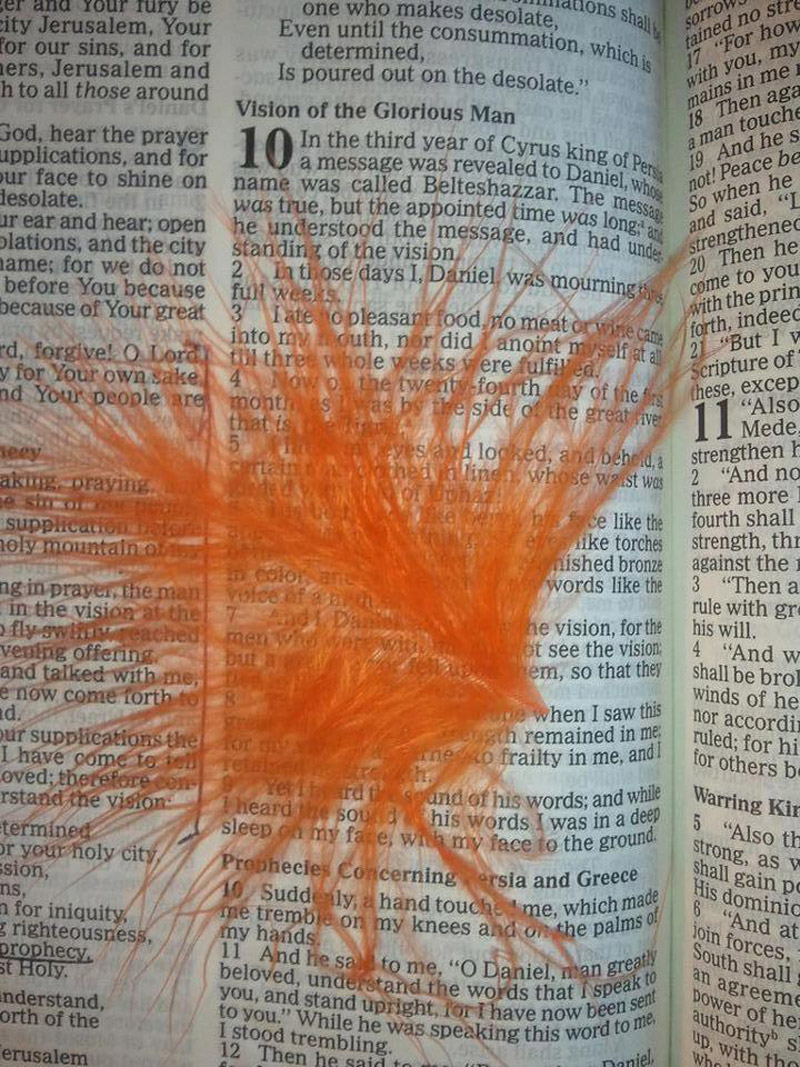 Оранжевое необычное перо появилось после молитвы
