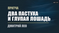 Дмитрий Лео. Притча «Два пастуха и глупая лошадь»