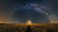 Дмитрий Лео. Видение ангела на пшеничном поле