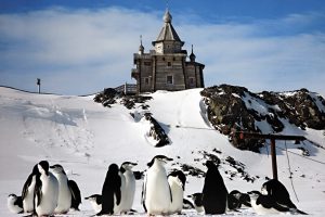 Почему Ковчег Завета, который нашли в Мекке отвезли в Антарктиду?