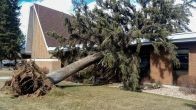 Дерево упало на сатанинскую церковь в Канзас Сити