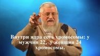 Имя Бога в ДНК человека и животных, - Доктор Ишаягу Рубинштейн