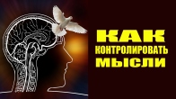 Кэролайн Лиф. Включите свой мозг