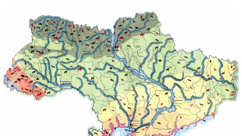 Детальная карта фауны Украины. Подробная карта животных Украины.