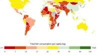 В каких странах сколько едят рыбы