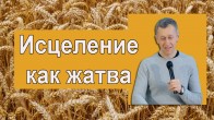 Дмитрий Лео. Исцеление как жатва – 10.02.2018