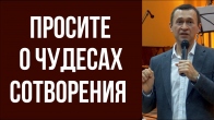 Дмитрий Лео. Просите о чудесах сотворения органов