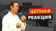 Дмитрий Лео. Цепная реакция