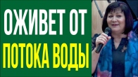 Ольга Карпенко. Всё оживет от потока воды живой