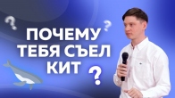 Валерий Гриб. Почему тебя съел кит?