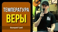 Валерий Гриб. Температура твоей веры