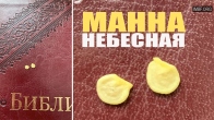 Манна Небесная чудесно появляется для тех, кто Ищет Его лица.