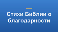 Стихи Библии о благодарности