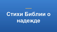 Стихи Библии о надежде
