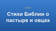 Стихи Библии о пастыре и овцах