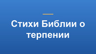 Стихи Библии о терпении