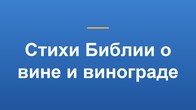 Стихи Библии о вине и винограде
