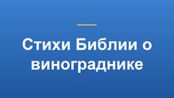 Стихи Библии о винограднике