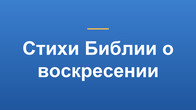 Стихи Библии о воскресении