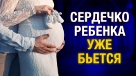 Вы хорошо молились! Сердечко ребенка уже бьется