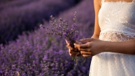 Healing from Hyperprolactinemia