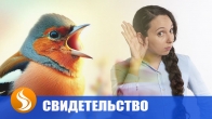 Исцеление слуха. Я слышу пение птиц этим ухом!
