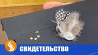 Как появились небесные перья и новая манна. Свидетельство