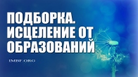 Подборка чудес в Благословение Отца – Исцеление от образований