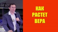 Как растет вера. Дмитрий Лео