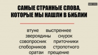 Найдивніші слова, які ми знайшли в Біблії